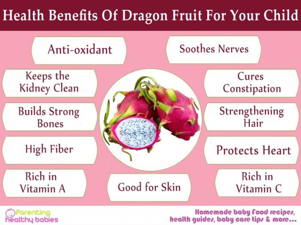 Dragon Fruit: What You Need to Know About This Health-Gaining Fruit